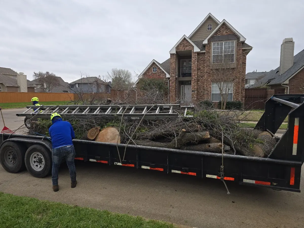 Expert Tree Pest Control with proper safety equipment in Bedminster